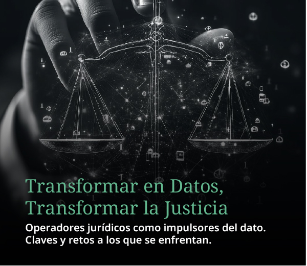 Transformar en Datos, Transformar la Justicia